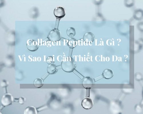 collagen peptide la gi miri.com .vn 4
