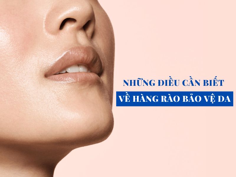 nhung dieu can biet ve hang rao bao ve da miri.com .vn 5