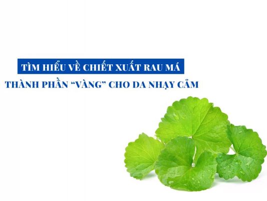 tim hieu ve chiet xuat rau ma miri.com .vn 5