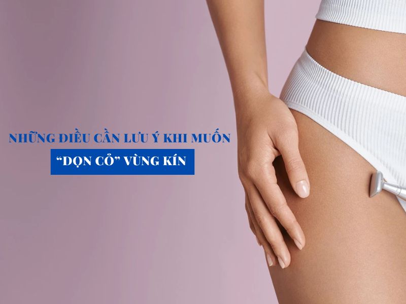 nhung dieu can luu y khi muon don co vung kin miri.com .vn 7