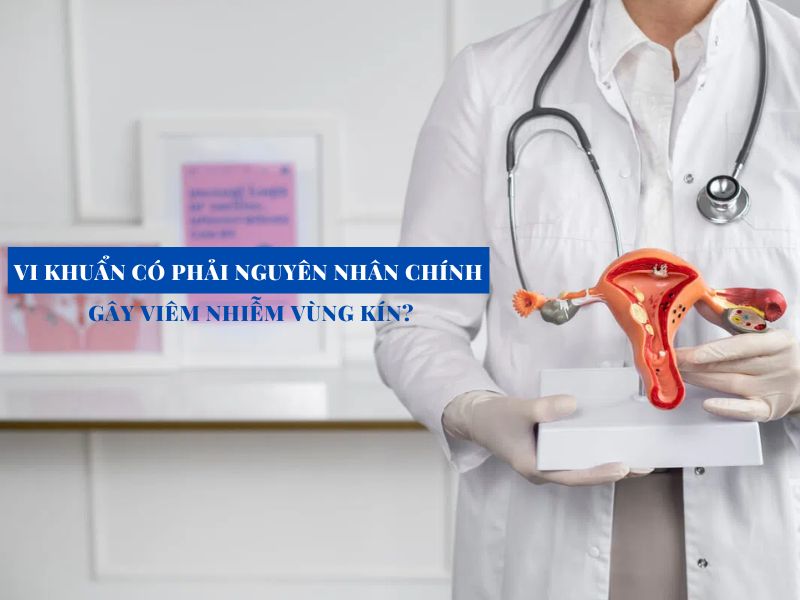 vi khuan co phai nguyen nhan chinh gay viem nhiem vung kin miri.com .vn 3