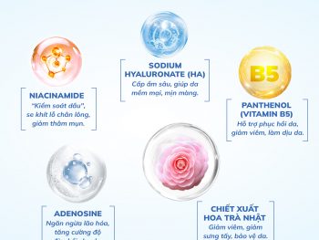 441450713 878897994252922 8847886331760444858 n 1